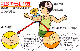 ���j�C���[�W