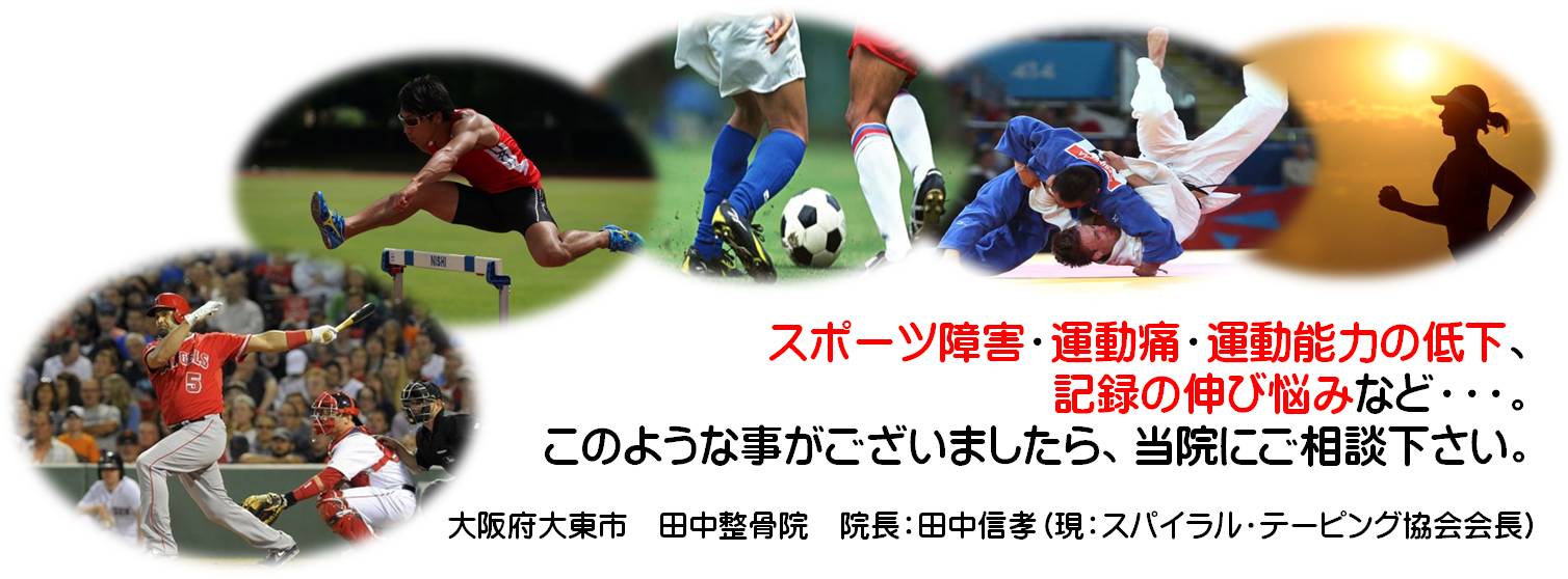 �c�������@�@���C��