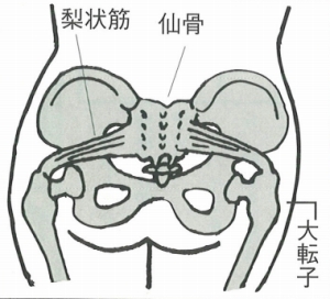 坐骨神経痛 治療 テーピングの巻き方